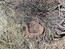 photo thumbnail #11