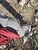 photo thumbnail #15