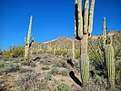 photo thumbnail #12