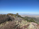photo thumbnail #8