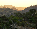 photo thumbnail #3