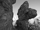 photo thumbnail #14