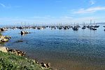 photo thumbnail #14