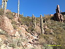 photo thumbnail #5