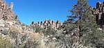 photo thumbnail #12