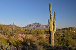 photo thumbnail #6