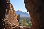 photo thumbnail #7
