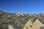 photo thumbnail #9
