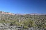 photo thumbnail #10