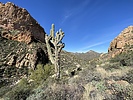 photo thumbnail #3