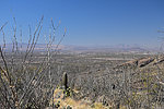 photo thumbnail #7