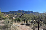photo thumbnail #8