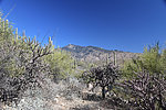photo thumbnail #9