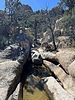 photo thumbnail #9