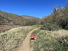 photo thumbnail #4