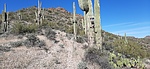 photo thumbnail #3