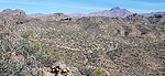 photo thumbnail #5