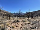 photo thumbnail #6