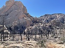 photo thumbnail #13