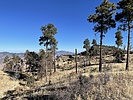 photo thumbnail #7