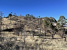 photo thumbnail #9