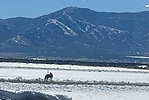 photo thumbnail #11