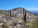photo thumbnail #4
