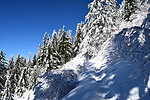 photo thumbnail #10