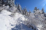 photo thumbnail #11
