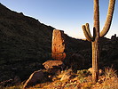 photo thumbnail #10