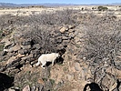 photo thumbnail #14