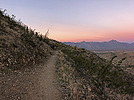 photo thumbnail #3