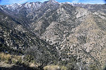 photo thumbnail #11