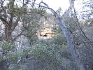 photo thumbnail #8