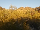 photo thumbnail #2