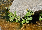 photo thumbnail #13