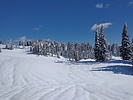 photo thumbnail #14