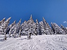 photo thumbnail #15