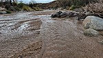 photo thumbnail #3