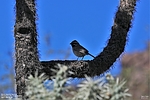 photo thumbnail #15