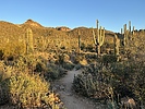 photo thumbnail #5