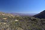 photo thumbnail #3