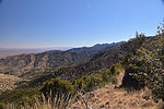 photo thumbnail #12
