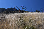 photo thumbnail #13