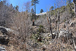 photo thumbnail #15