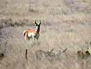 photo thumbnail #11
