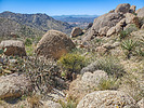 photo thumbnail #6