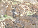 photo thumbnail #14