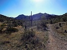 photo thumbnail #4