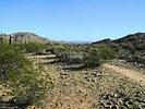 photo thumbnail #6